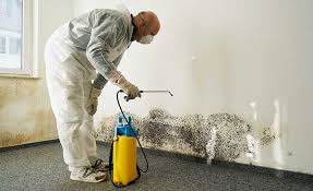 Best Mold Remediation for Rental Properties  in USA